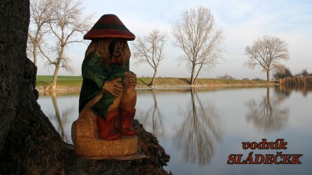 Nový občan